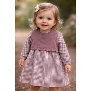 Carter’s Baby Girl Dress 12M Mauve Gingham Knit Top Long Sleeve Fall Outfit NWT